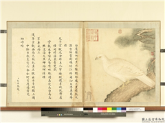 清黎明画白鹰海东青　册　松鹰,绘画,翎毛,树木
