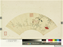 名人书画合册　册　明张翀石榴山雀,绘画,花草,翎毛