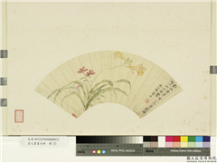 名人书画合册　册　清恽寿平萱花石竹,绘画,花草