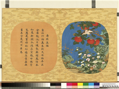 万寿无疆二册 (上)　册　寿绵万禩,绘画,花草,果蔬,翎毛,山水,树木,草虫