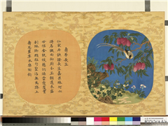 万寿无疆二册 (上)　册　寿蒂长生,绘画,果蔬,翎毛,山水,花草