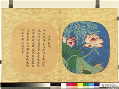 万寿无疆二册 (下)　册　莲开寿域,绘画,花草,树木