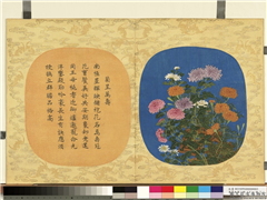 万寿无疆二册 (下)　册　菊呈万寿,绘画,花草,山水
