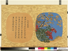 万寿无疆二册 (下)　册　天祝嵩寿,绘画,花草,翎毛