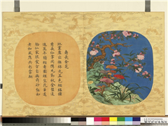 万寿无疆二册 (下)　册　寿长金芝,绘画,花草,树木