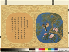 万寿无疆二册 (下)　册　椿寿万年,绘画,树木,花草,翎毛