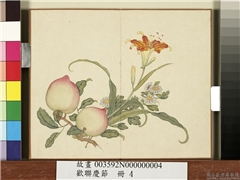 欢联庆节　册　萱菊寿桃,绘画,花草,果蔬
