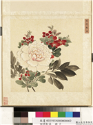 四时和气　册　百花魁占,绘画,花草