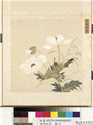 四时和气　册　名骓对舞,绘画,花草