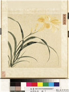 四时和气　册　日丽长春,绘画,花草