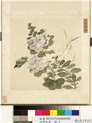 四时和气　册　出槛临风,绘画,花草