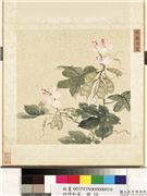 四时和气　册　绕篱浥露,绘画,花草