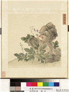 四时和气　册　秋圃寒香,绘画,花草,山水