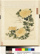四时和气　册　真意忘言,绘画,花草