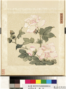 四时和气　册　泽国搴芳,绘画,花草