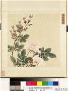 四时和气　册　迎蟾应羯,绘画,花草