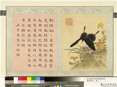 瓞绵繁衍　册　画唐李建勳咏胡蝶,绘画,草虫,花草