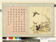 瓞绵繁衍　册　画唐徐夤咏蛱蝶,绘画,草虫,花草