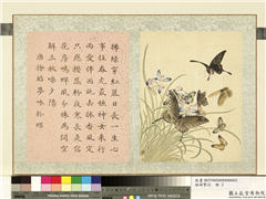 瓞绵繁衍　册　画唐徐昭梦咏粉蝶,绘画,草虫,花草