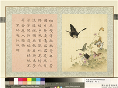 瓞绵繁衍　册　画宋林逋咏戏蝶,绘画,草虫,花草