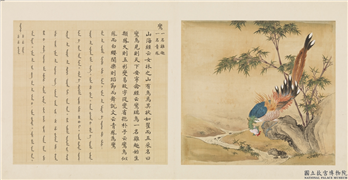 鸟谱（一）　册　鸾,绘画,翎毛,山水,树木