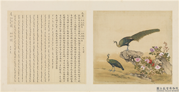 鸟谱（一）　册　孔雀,绘画,翎毛,山水,花草