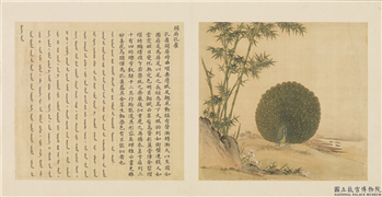 鸟谱（一）　册　开屏孔雀,绘画,翎毛,山水,树木,花草