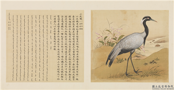 鸟谱（一）　册　小灰鹤,绘画,翎毛,花草