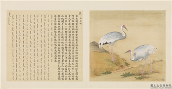 鸟谱（一）　册　蓝,绘画,翎毛,花草