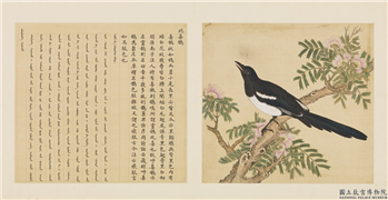 鸟谱（一）　册　北喜鹊,绘画,翎毛,树木