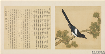 鸟谱（一）　册　喜鹊,绘画,翎毛,树木