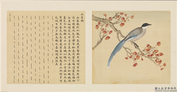 鸟谱（一）　册　山喜鹊,绘画,翎毛,树木
