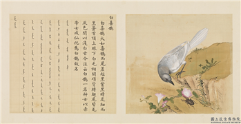 鸟谱（一）　册　白喜鹊,绘画,翎毛,花草,草虫