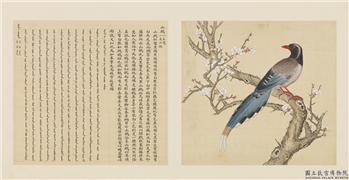 鸟谱（一）　册　山鹧,绘画,翎毛,花草