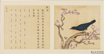 鸟谱（一）　册　靛花,绘画,翎毛,花草