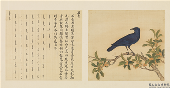 鸟谱（一）　册　石青,绘画,翎毛,花草