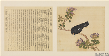 鸟谱（一）　册　鸜鹆,绘画,翎毛,花草