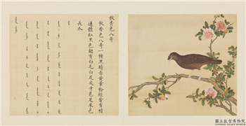 鸟谱（一）　册　秋香色八哥,绘画,翎毛,花草
