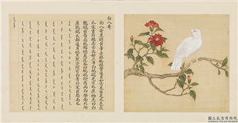 鸟谱（一）　册　白八哥,绘画,翎毛,花草