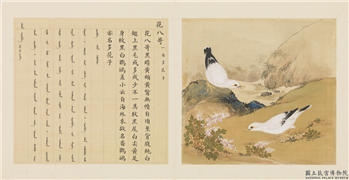 鸟谱（一）　册　花八哥,绘画,翎毛,山水,花草