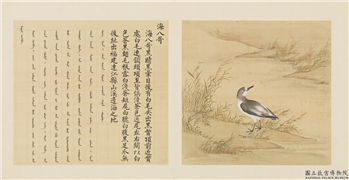 鸟谱（一）　册　海八哥,绘画,翎毛,山水,花草