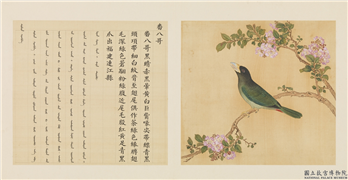 鸟谱（一）　册　番八哥,绘画,翎毛,花草