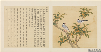 鸟谱（一）　册　瑞红鸟,绘画,翎毛,花草