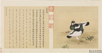 鸟谱（一）　册　毛脚鸽,绘画,翎毛,花草
