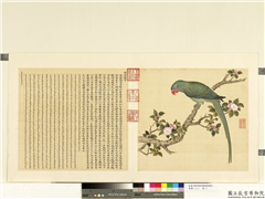 鸟谱（二）　册　西绿鹦哥,绘画,翎毛,花草