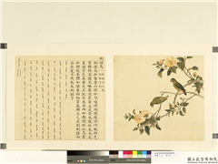 鸟谱（二）　册　倒挂鸟,绘画,翎毛,花草