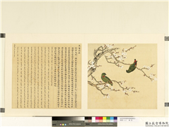 鸟谱（二）　册　黑嘴倒挂,绘画,翎毛,花草