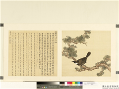 鸟谱（二）　册　珊瑚鸟,绘画,翎毛,树木