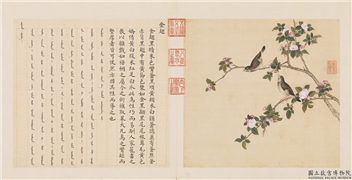 鸟谱（三）　册　金翅,绘画,翎毛,花草