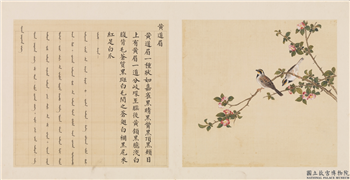 鸟谱（三）　册　黄道眉,绘画,翎毛,花草